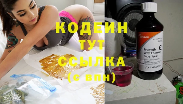 ПСИЛОЦИБИНОВЫЕ ГРИБЫ Алзамай
