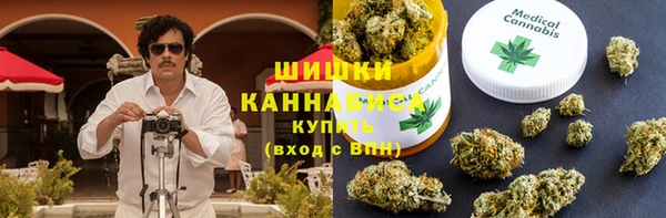 ПСИЛОЦИБИНОВЫЕ ГРИБЫ Алзамай