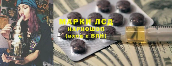 ПСИЛОЦИБИНОВЫЕ ГРИБЫ Алзамай