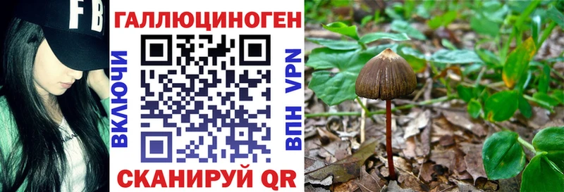 Галлюциногенные грибы GOLDEN TEACHER магазин продажи Мещовск